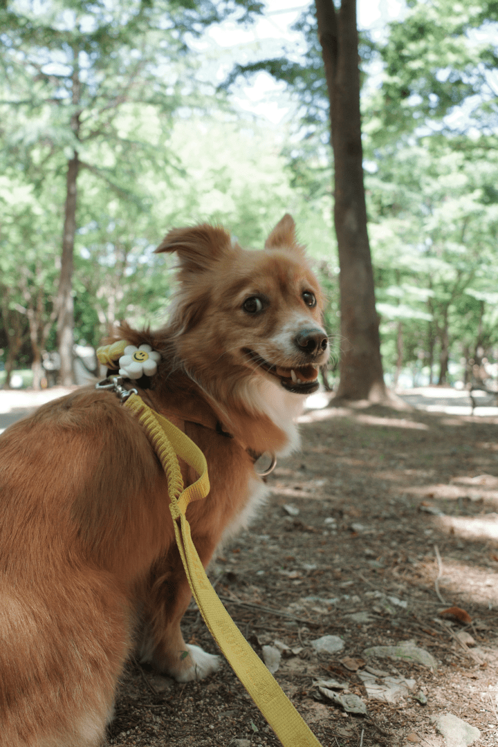 이사 끝 그리고 옛날&nbsp;얘기
